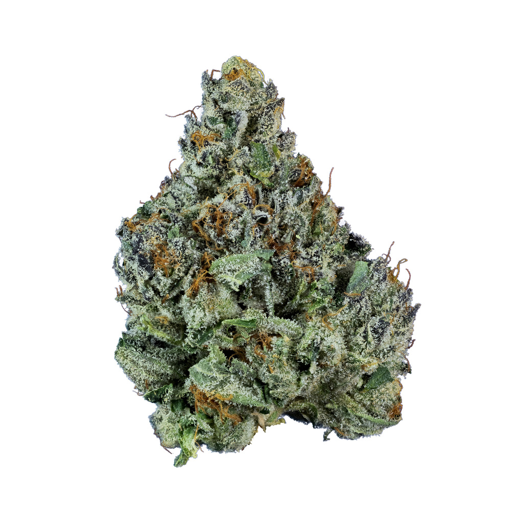 Buy StarDawg x Northern Lights Whole Flower online Curaleaf