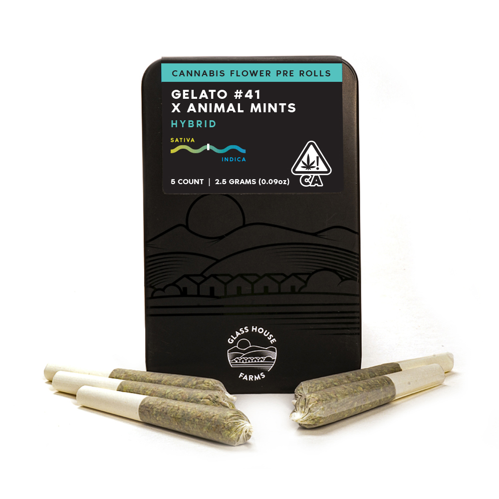 Buy Gelato #41 x Animal Mints 5-Pack 2.5g online - Eaze Van Nuys | Los ...