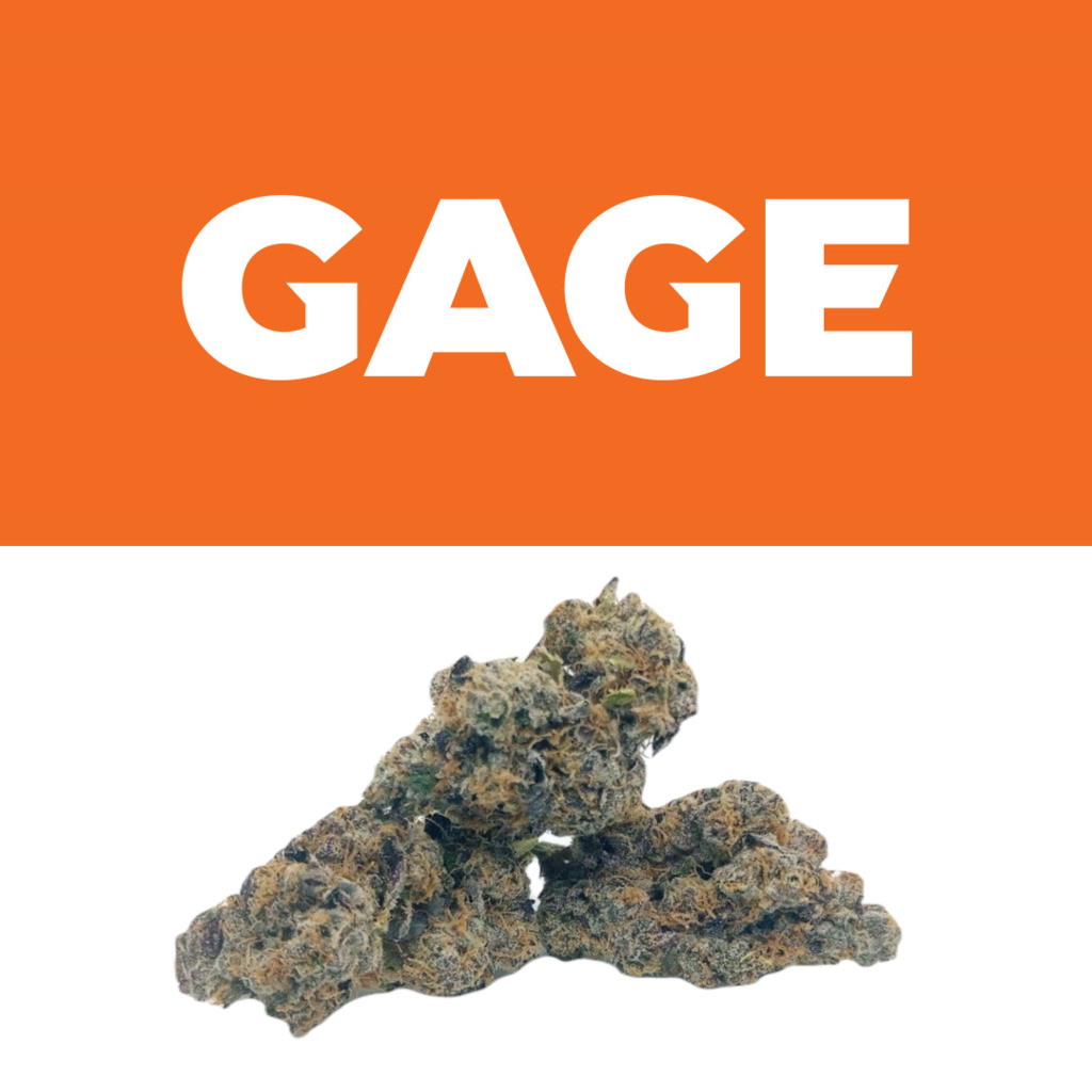 Buy Cannabis online Cookies Ann Arbor Ann Arbor