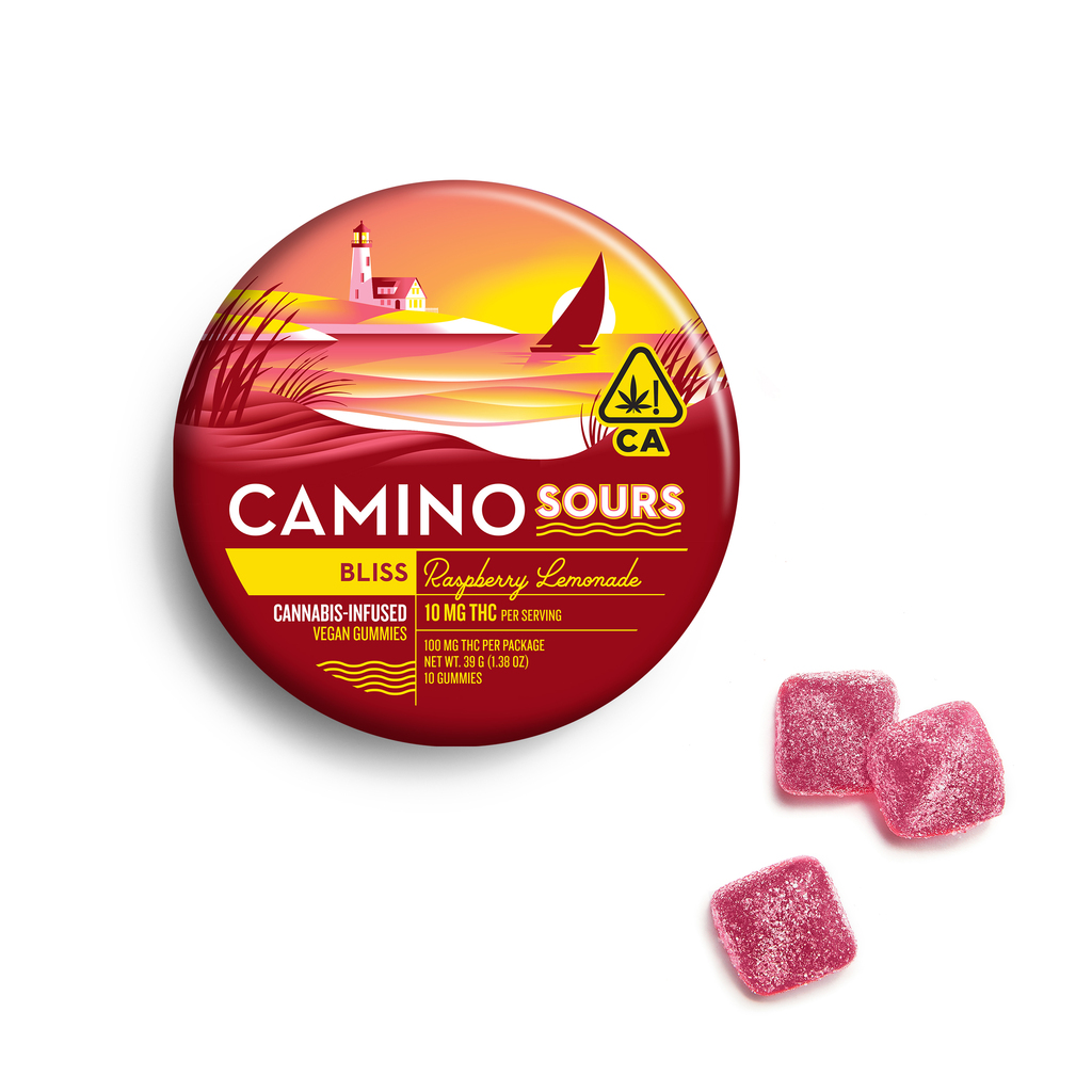 CAMINO: Raspberry Lemonade Bliss Sour